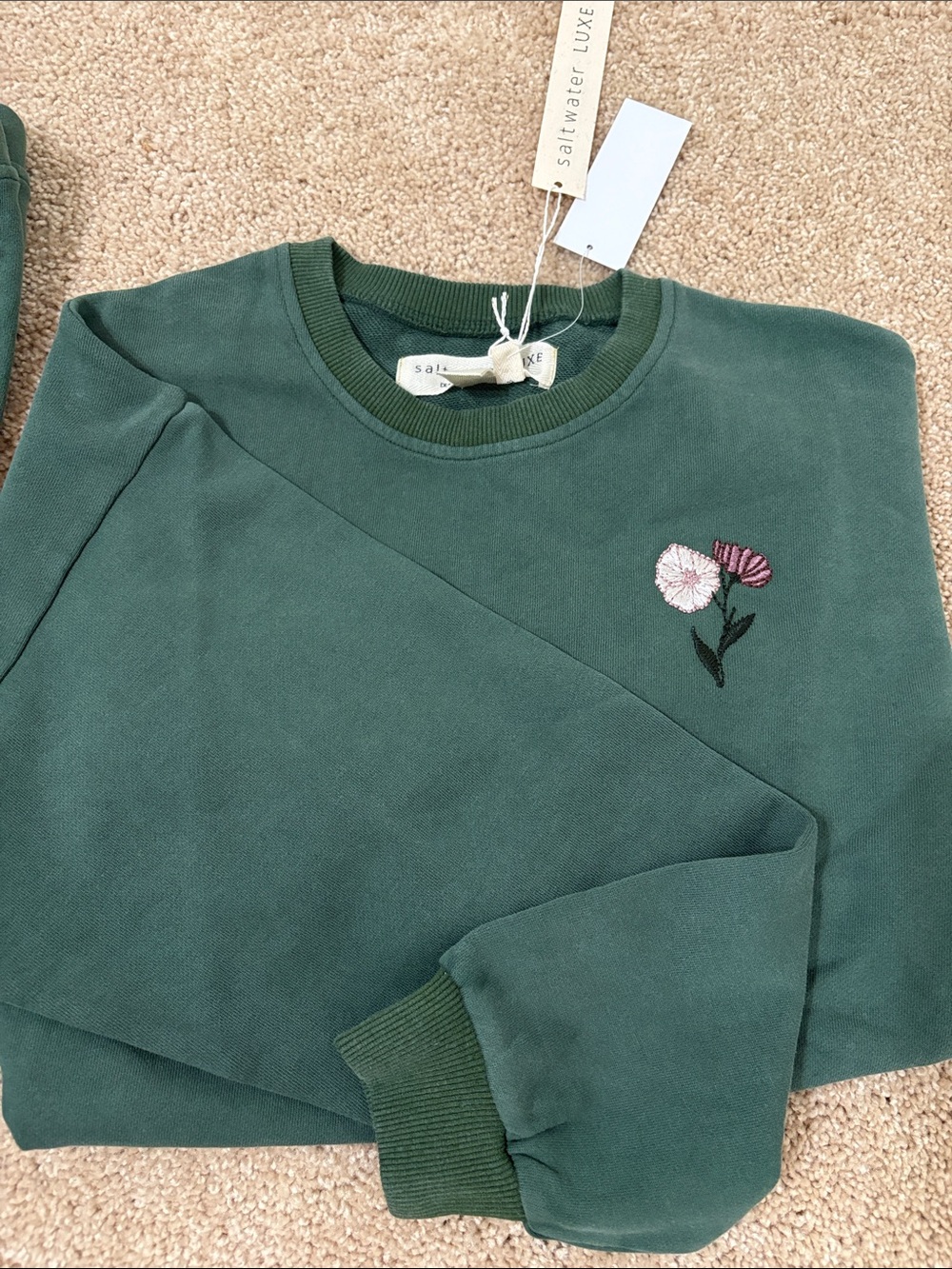Anthropologie Green Crewneck Sweat Set - Picture 2 of 7